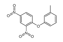 1-(3-methylphenoxy)-2,4-dinitrobenzene结构式
