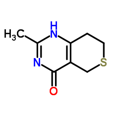 DR 2313 Structure