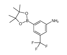 3-(4,4,5,5-tetramethyl-1,3,2-dioxaborolan-2-yl)-5-(trifluoromethyl)aniline structure