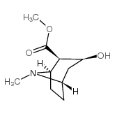 ecgonine methyl ester picture