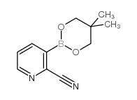 2-Cyanopyridine-3-boronic acid neopentyl glycol ester picture