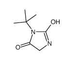 3-tert-butylimidazolidine-2,4-dione结构式