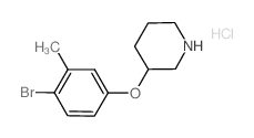 3-(4-Bromo-3-methylphenoxy)piperidine hydrochloride结构式