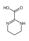 2-Pyrimidinecarboxylic acid, 1,4,5,6-tetrahydro- (9CI) Structure