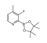 3-Fluoro-4-methylpyridine-2-boronic acid pinacol ester结构式