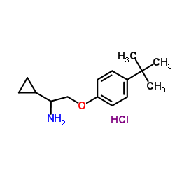 1-Cyclopropyl-2-[4-(2-methyl-2-propanyl)phenoxy]ethanamine hydrochloride (1:1) Structure