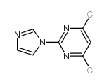 4,6-二氯-2-(1H-咪唑)-嘧啶结构式