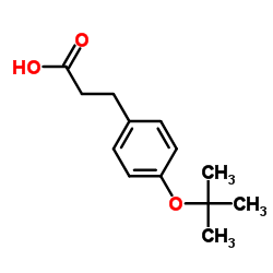 3-(4-tert-Butoxyphenyl)propanoic acid Structure