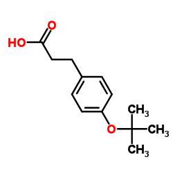 3-(4-tert-Butoxyphenyl)propanoic acid structure