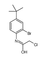 N1-[2-BROMO-4-(TERT-BUTYL)PHENYL]-2-CHLOROACETAMIDE结构式