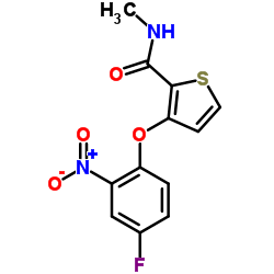 3-(4-Fluoro-2-nitrophenoxy)-N-methyl-2-thiophenecarboxamide Structure