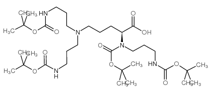 (2S)-5-[bis[3-[(2-methylpropan-2-yl)oxycarbonylamino]propyl]amino]-2-[(2-methylpropan-2-yl)oxycarbonyl-[3-[(2-methylpropan-2-yl)oxycarbonylamino]propyl]amino]pentanoic acid Structure