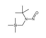 N-tert-butyl-N-(trimethylsilylmethyl)nitrous amide Structure