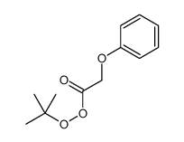 tert-butyl phenoxyperoxyacetate Structure