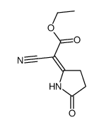 ethyl 2-cyano-2-(5-oxopyrrolidin-2-ylidene)acetate结构式