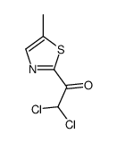 Ethanone, 2,2-dichloro-1-(5-methyl-2-thiazolyl)- (9CI) picture