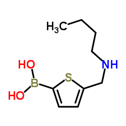 {5-[(Butylamino)methyl]-2-thienyl}boronic acid结构式