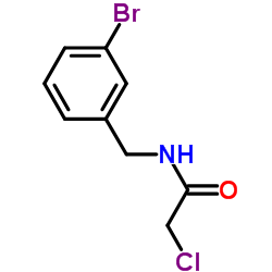 N-(3-Bromo-benzyl)-2-chloro-acetamide结构式