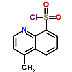 4-Methyl-8-quinoxalinesulfonyl Chloride结构式