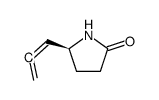 2-Pyrrolidinone,5-(1,2-propadienyl)-,(S)-(9CI) picture