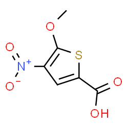 2-Thiophenecarboxylicacid,5-methoxy-4-nitro-(9CI) structure
