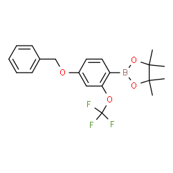 4-Benzyloxy-2-(trifluoromethoxy)phenylboronic acid pinacol ester Structure