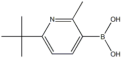 2-Methyl-6-(tert-butyl)pyridine-3-boronic acid结构式
