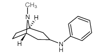 endo-N-Phenzyl-endo-3-aminotropane picture