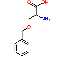 O-Benzyl-DL-Serine picture
