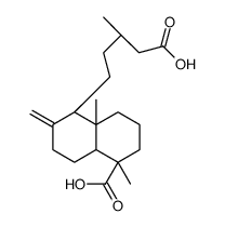 dihydroagathic acid picture