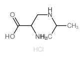 2-amino-3-(propan-2-ylamino)propanoic acid结构式