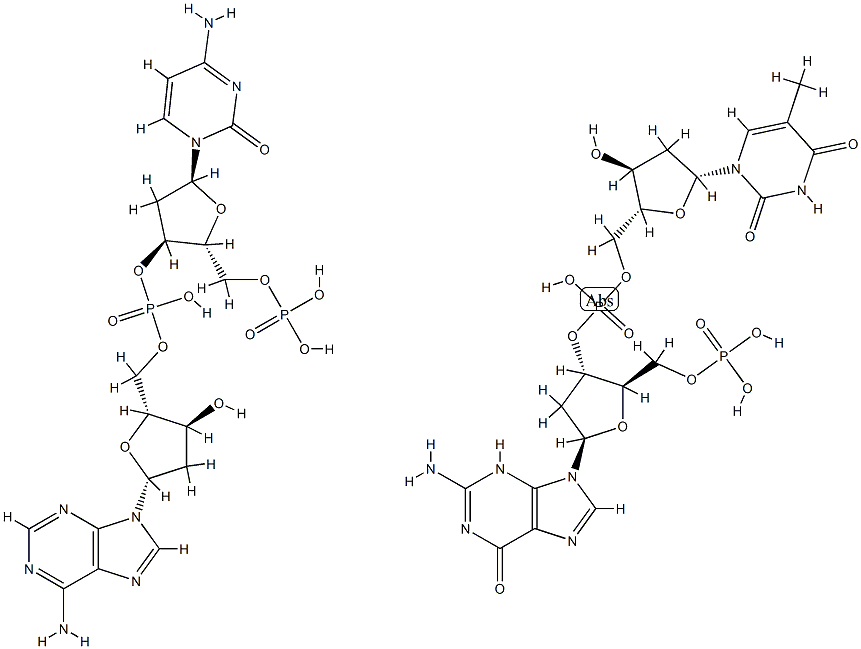 poly(d(G-T).d(C-A)) structure