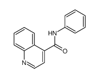 N-phenylquinoline-4-carboxamide结构式