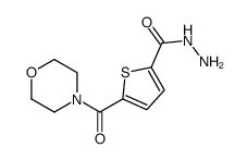 5-(morpholine-4-carbonyl)thiophene-2-carbohydrazide结构式