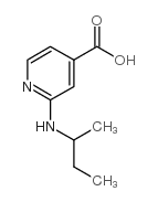 2-(sec-Butylamino)isonicotinic acid结构式