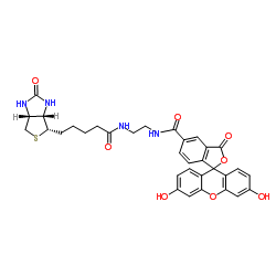 BIOTIN-4-FLUORESCEIN structure