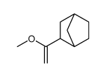 Exo-2-(1-methoxyethenyl)bicyclo[2.2.1]heptane结构式