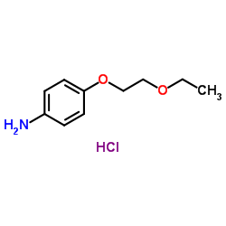 4-(2-Ethoxyethoxy)aniline hydrochloride (1:1)结构式