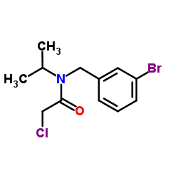 N-(3-Bromobenzyl)-2-chloro-N-isopropylacetamide结构式