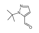 1-叔丁基-5-甲醛-1H-吡唑结构式