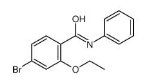 4-溴-2-乙氧基-N-苯基苯甲酰胺结构式