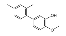 5-(2,4-dimethylphenyl)-2-methoxyphenol结构式