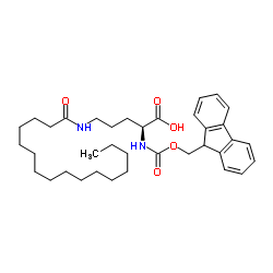 N2-[(9H-Fluoren-9-ylmethoxy)carbonyl]-N5-palmitoyl-L-ornithine Structure