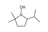 Pyrrolidine, 1-hydroxy-2,2-dimethyl-5-(1-methylethyl)- (9CI) structure