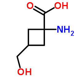 1-氨基-3-(羟甲基)环丁烷-1-羧酸图片