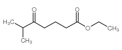 ethyl 6-methyl-5-oxoheptanoate Structure