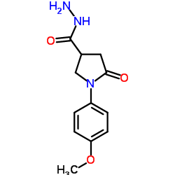 1-(4-Methoxyphenyl)-5-oxopyrrolidine-3-carbohydrazide Structure