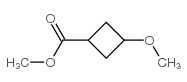 Cyclobutanecarboxylic acid, 3-methoxy-, methyl ester (9CI) structure