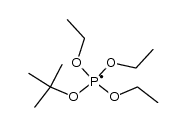 t-butoxy(triethoxy)phosphoranyl radical Structure