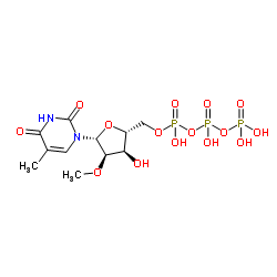 5-Methyl-2'-O-methyluridine 5'-(tetrahydrogen triphosphate) Structure